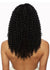 CB3P1203 3x Passion Water Wave 12 Afri Napturals Crochet Braids Mane Concept UK - Back view